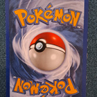 Nidoran legendary collection! - pikkukuva 2