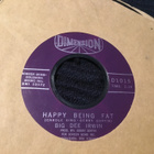 Big Dee Irwin Happy  being fat  Dimension Us - pikkukuva 1
