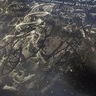 NIGHTWISH - ENDLESS FORMS MOST.. 2LP VIIDELLÄ NIMMARILLA - pikkukuva 2