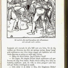 Howard Pyle: Robin Hoods glada äventyr - pikkukuva 2