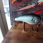 Ruthless Rattlin Crank Shallow 6,5cm - pikkukuva 1