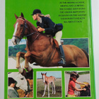 Sally Gordon : The Horse and Pony Book - pikkukuva 2