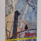 Pellervo 6-7/1967 - pikkukuva 1