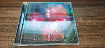 SILENT MILLENNIA Celestial twilight: Beyond the scarlet veil