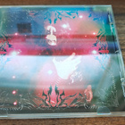 SILENT MILLENNIA Celestial twilight: Beyond the scarlet veil - pikkukuva 1