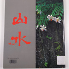 Gunter Nitschke : El jardin japones - pikkukuva 2