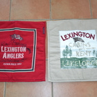 Lexington tyynynpäällinen BEIGE - pikkukuva 3