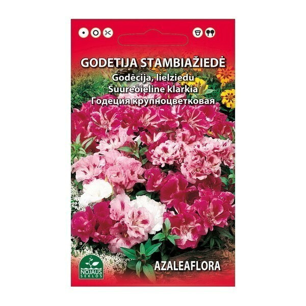 Silkkikukka "Azaleaflora" sekoitus - siemenet #
