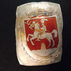 Ritari vaakuna Hopea emali 30x25mm, leimattu - pikkukuva 1