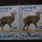 Etiopia 2000: antilooppi - pikkukuva 2