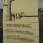 Mark Twain Matkakirjeitä maasta - pikkukuva 3