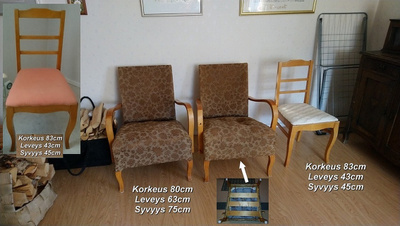 Kuollinpesän tyhjennys Harjavalta