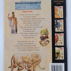 John Guy : Roman life - pikkukuva 2