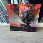 Stone Temple Pilots - Core LP+3 x CD + DVD - pikkukuva 2