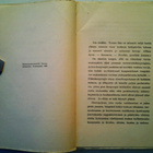 L. J. INKERI: Tyttö, jonka sydän oli lasista, v. 1928 - pikkukuva 4