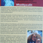 Ilkka Rekiaro: Whaddyacalllit - pikkukuva 2