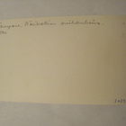 VANHA Postikortti Tampere 1950-l Alkup.Mallikappale - pikkukuva 2