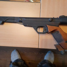 Diana mod 10 - pikkukuva 1