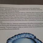 Saarinen; Länsimaiden filosofian... (v. 1998) - pikkukuva 2