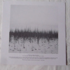 Hanna Hirsch: Gå Hem Över Himlen Mini LP 2011 - pikkukuva 3
