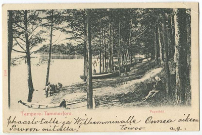 Tampere Pyynikki. 1900-luvun alku