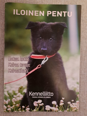 Iloinen pentu