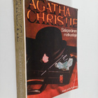 Agatha Christie : Salaperäinen matkustaja - pikkukuva 1