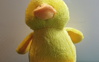 Pehmo ankanpoikanen -- soft duckling