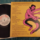 The Magnetics LP - pikkukuva 2