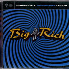 Big & Rich • Horse Of A Different Color CD - pikkukuva 1