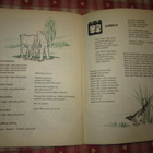 Noppa-kirja 2 - pikkukuva 5