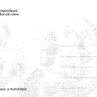HEVONEN POSTIKORTTI - pikkukuva 2