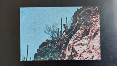 High Chaparral # 92
