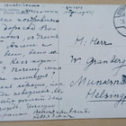 Viinirypäleitä (Vitis vinifera), vanha väripk, p. 1926 - pikkukuva 2
