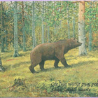 kortti ** Karhu - erilaisia taidekortteja - pikkukuva 3