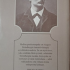 August Strindberg: Hullun puolustuspuhe - pikkukuva 2