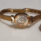 19 Jewels –Gold-Plated, Citizen rannekello - pikkukuva 2
