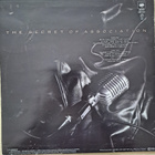 PAUL YOUNG : THE SECRET OF ASSOCIATION  LP - pikkukuva 2