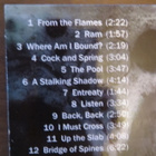 The Ram/Rich Shapero: Wild Animus CD - pikkukuva 2