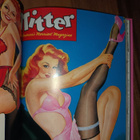 PIN-UPS kirja , Icons , Taschen - pikkukuva 4