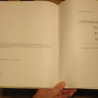 Itsenäisyytemme vuosikymmenet 1917 - 66 Suomen kuvalehti 50 - pikkukuva 2