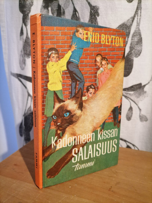 Enid Blyton - Kadonneen kissan salaisuus - 3.p.1968