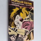 Iain Chambers : Popular culture : The metropolitan experi... - pikkukuva 1