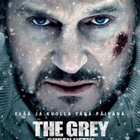 GREY - SUDEN HETKI (5 972) -FI- BLU-RAY liam neeson 2012 - pikkukuva 2
