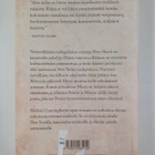 Michael Cunningham : Illan tullen - pikkukuva 2