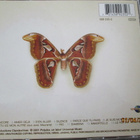 Lara Fabian NUE (CD) RANSKA - pikkukuva 2