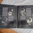 Wild Angels LP - pikkukuva 3