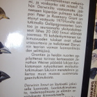 Jonathan Weiner: Darwinin linnut (1.p.1997) Sis.postikulut - pikkukuva 2