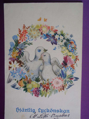 Tove Jansson kyyhkyset kukkakehyksessä ruots.