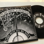The dad horse experience . Lord must fix my soul 7” lp vinyl - pikkukuva 1